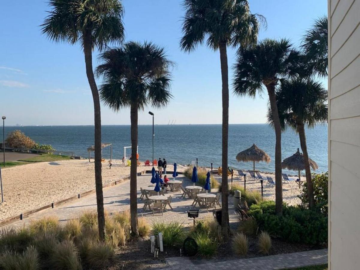 Bay Views From Your Balcony Beach Resort Tampa Eksteriør bilde